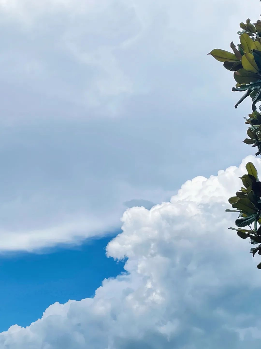 云南省文化和旅游厅