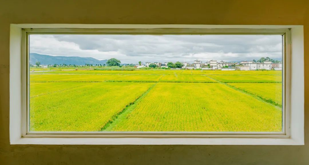 云南省文化和旅游厅