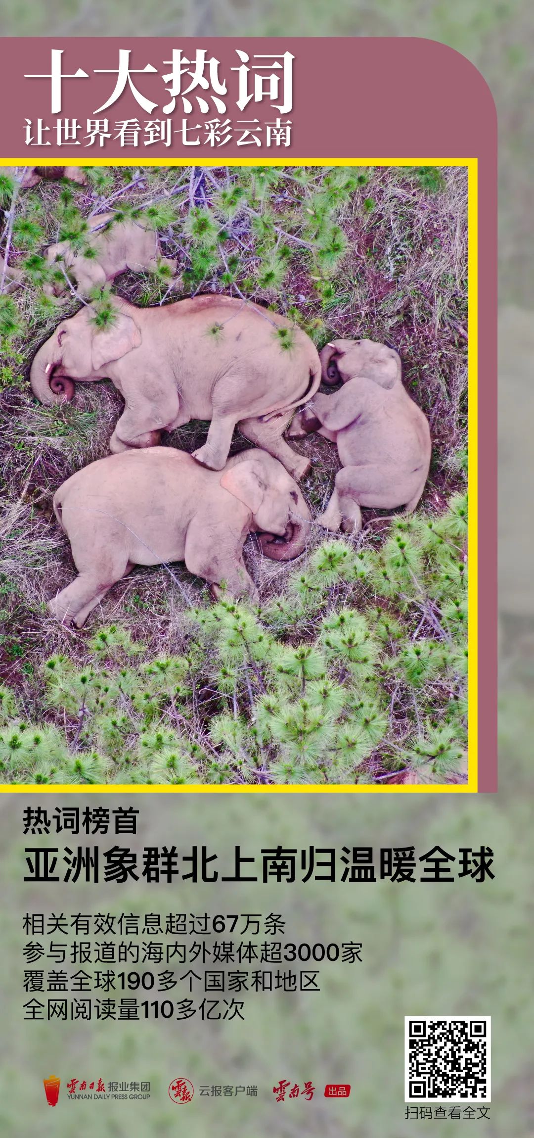 昆明公共文化云