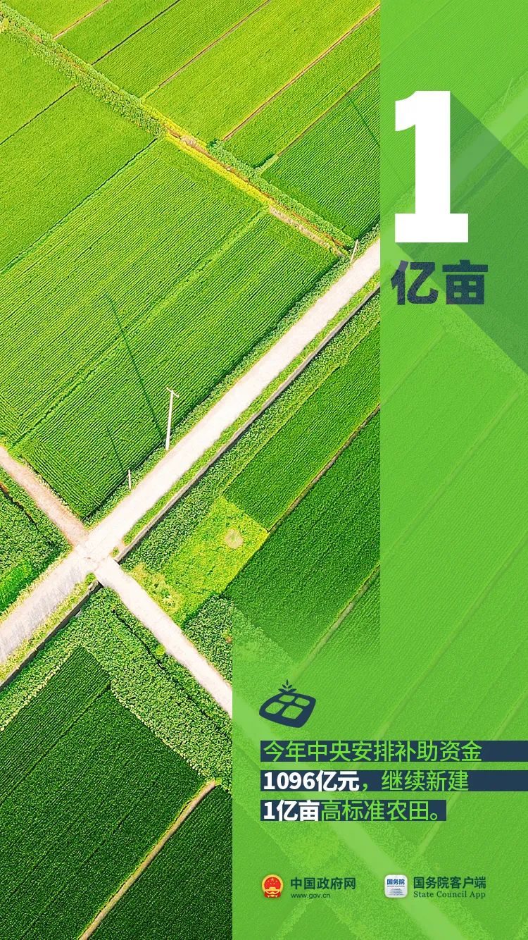 中华人民共和国中央人民政府