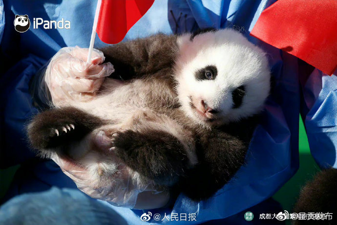 呈贡发布