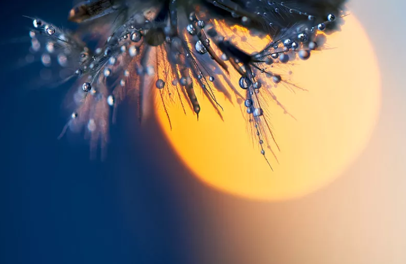 昆明公共文化云