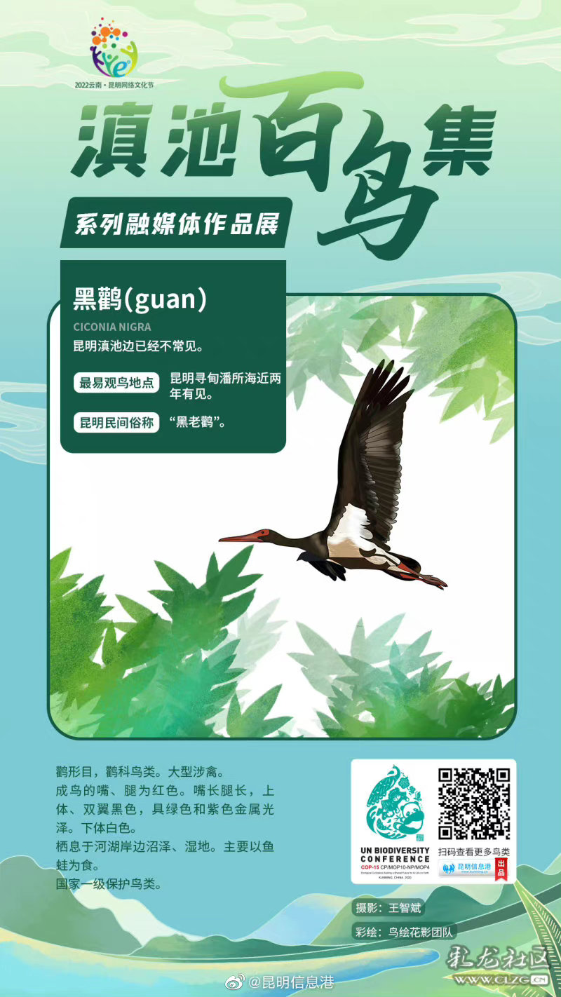 昆明信息港