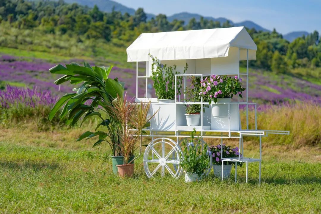 昆明阳宗海风景名胜区