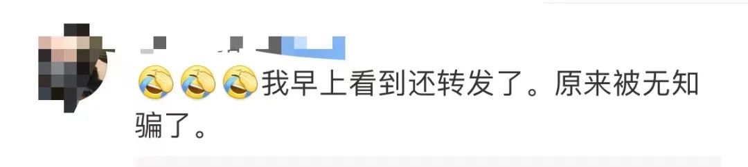 掌上春城