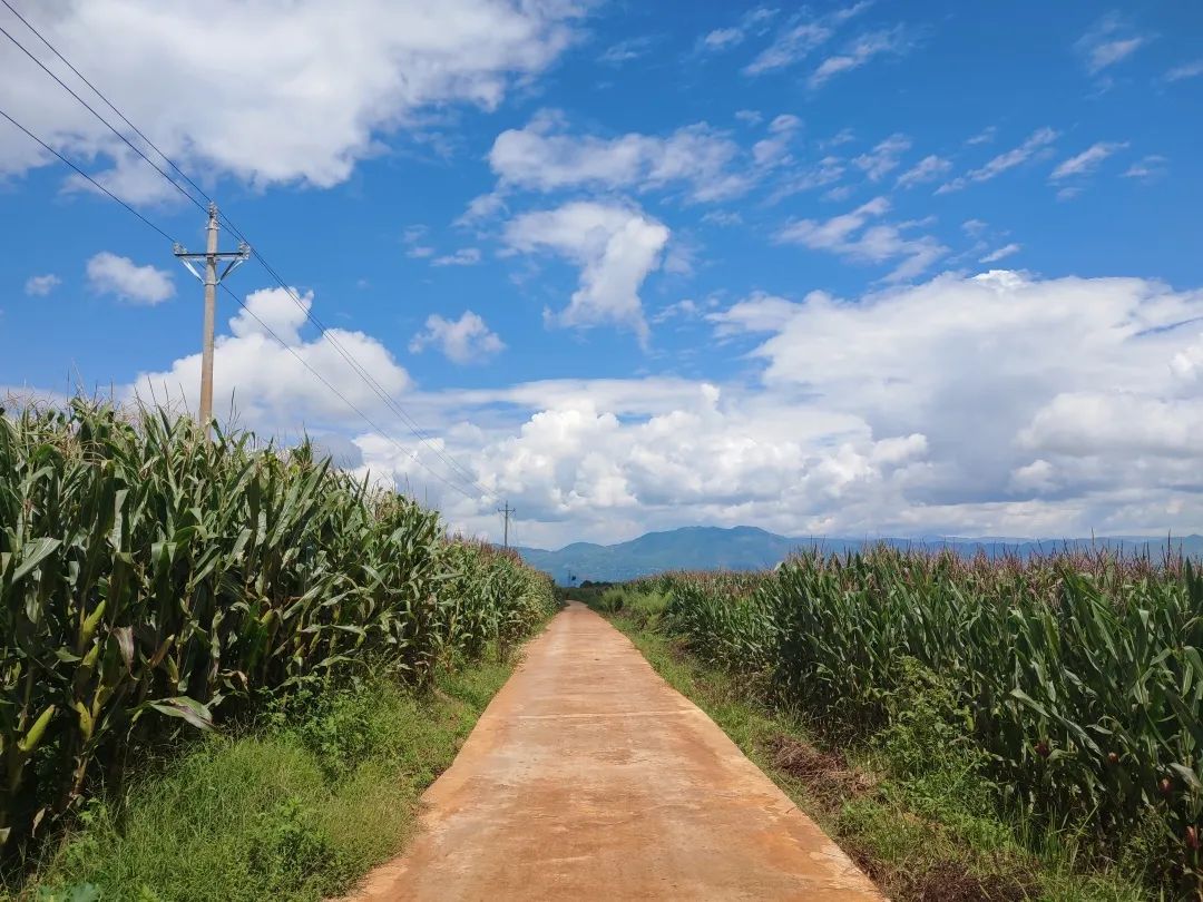 昆明信息港/cnkmxxg