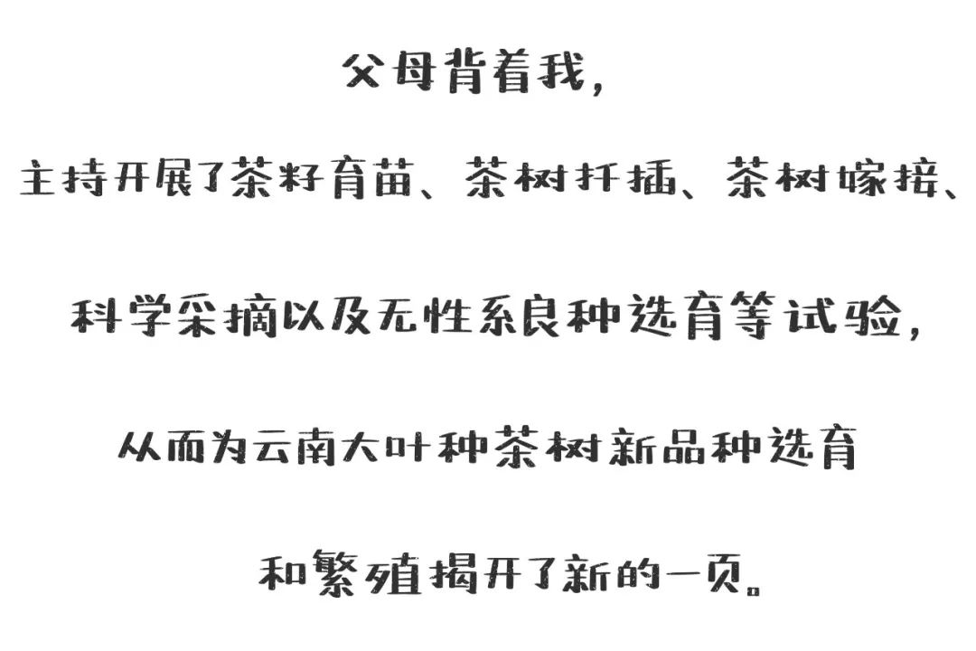 普洱日报