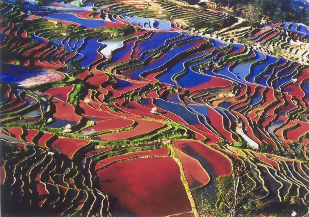 云南省文化和旅游厅