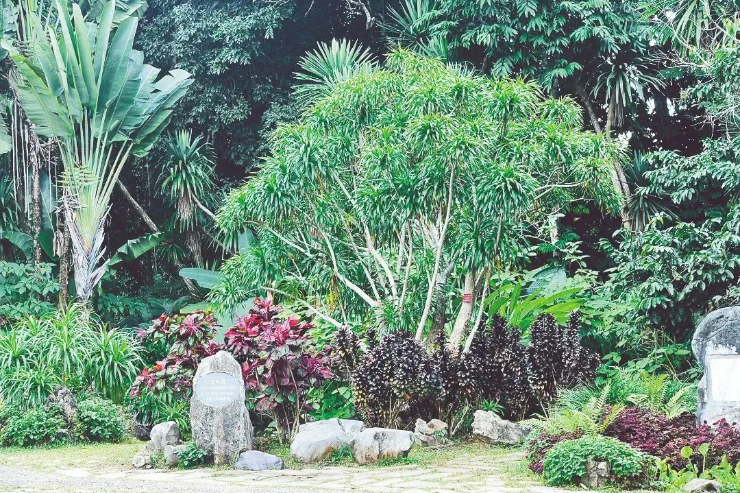 文旅云南