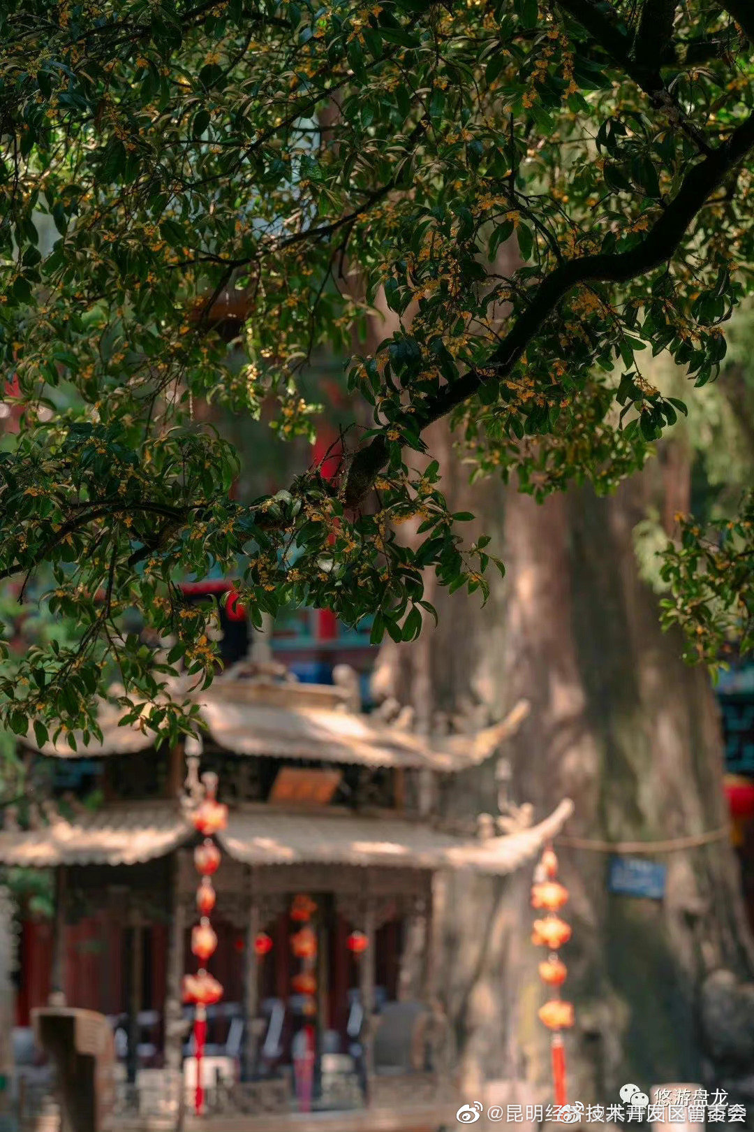 昆明经济技术开发区管委会