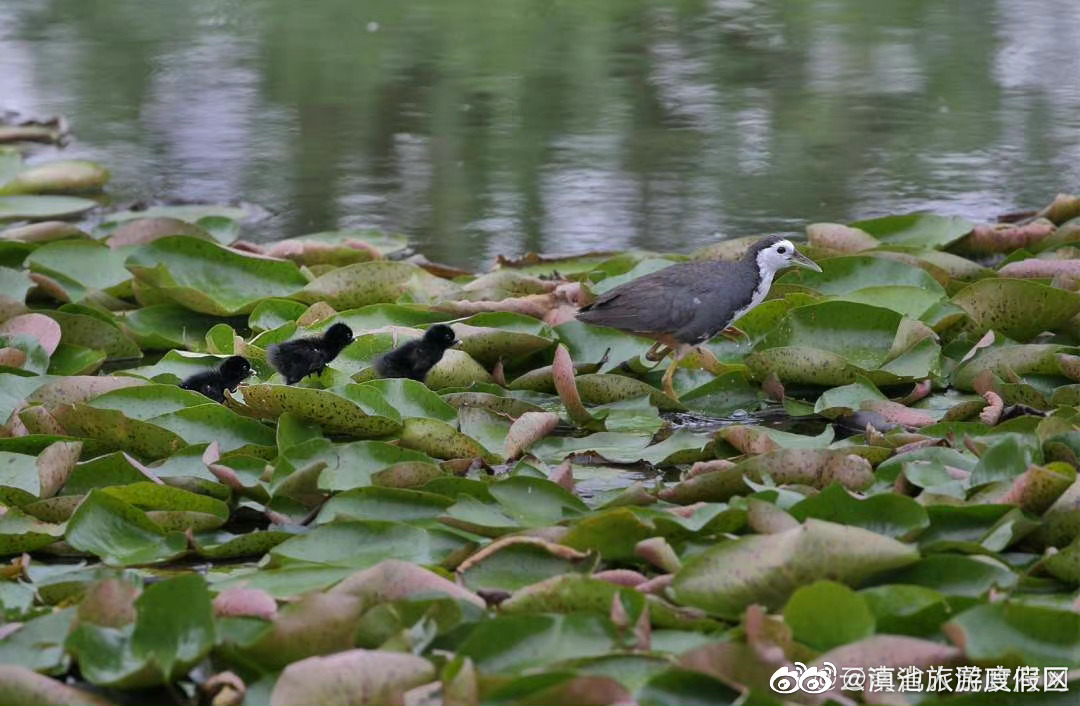 滇池旅游度假区
