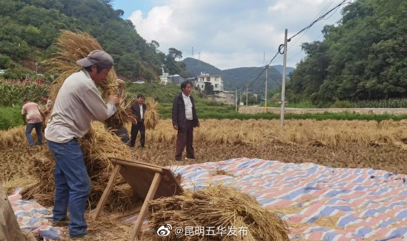 “昆明五华发布”微博