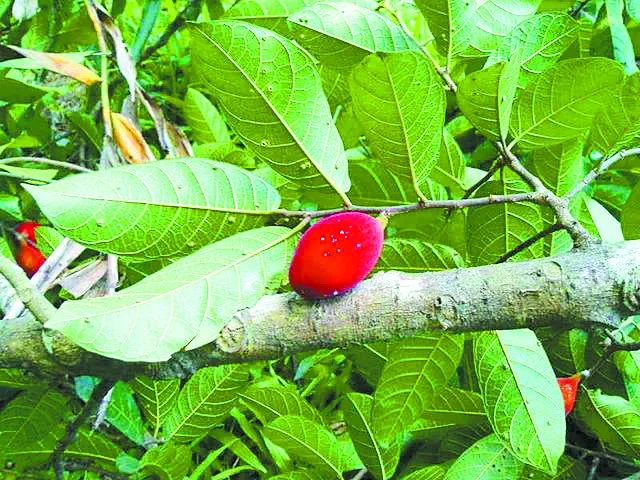 昆明国家高新区发布