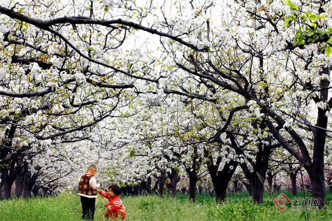 云南省文化和旅游厅