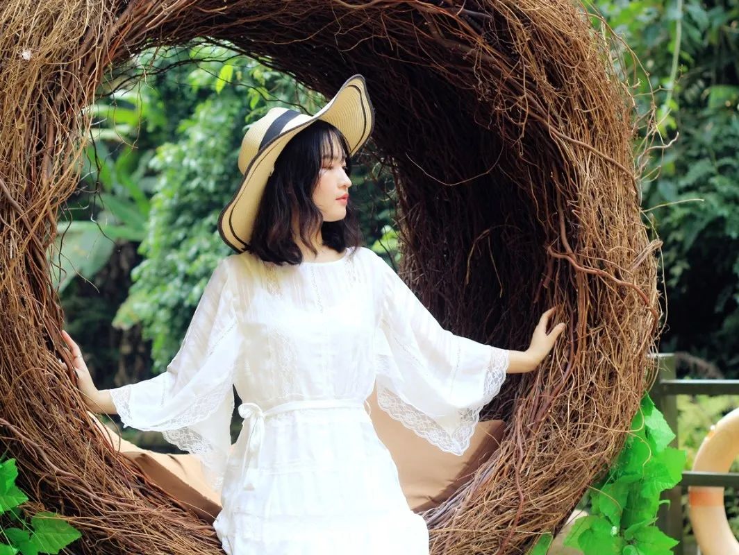 西双版纳望天树景区