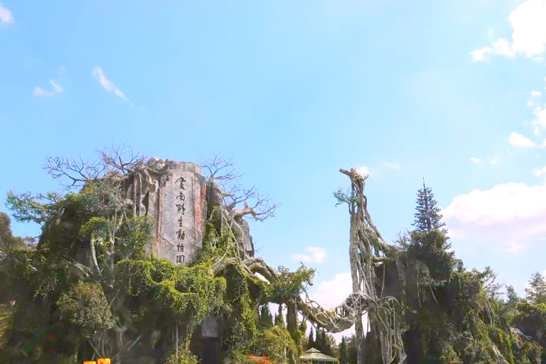 昆明文旅