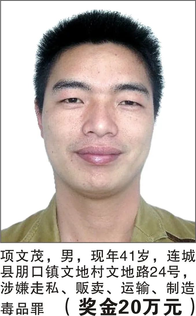 掌上春城