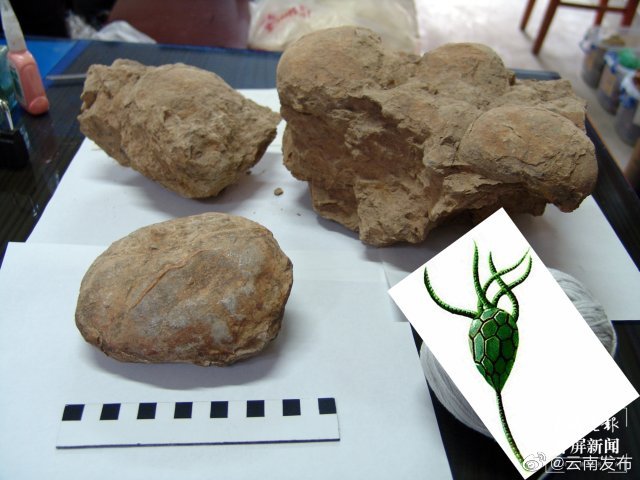 “云南发布”微博