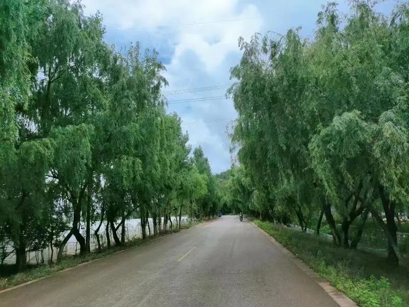 悦读嵩明