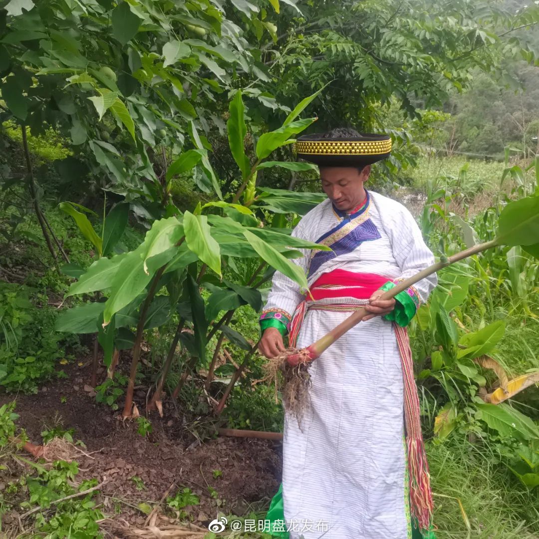 昆明盘龙发布