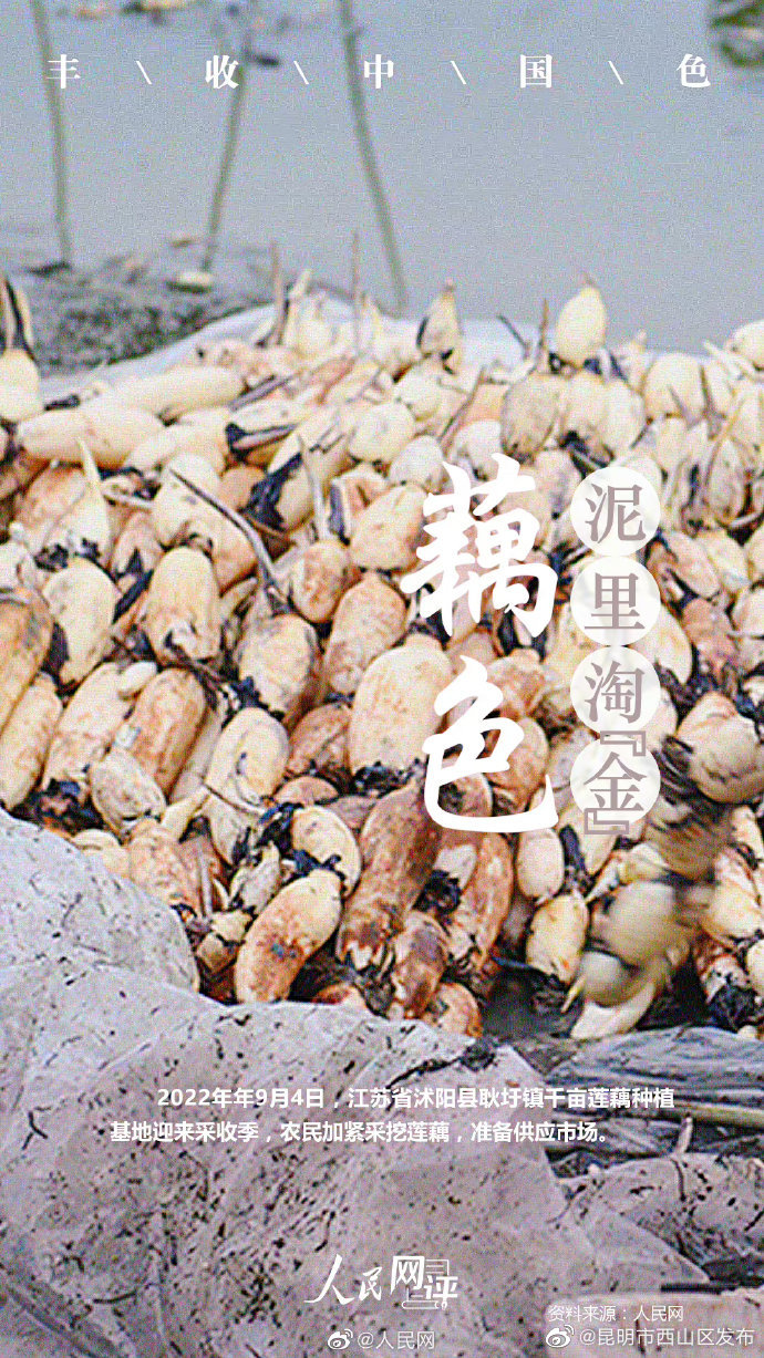 昆明市西山区发布