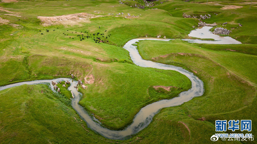 “云南发布”微博