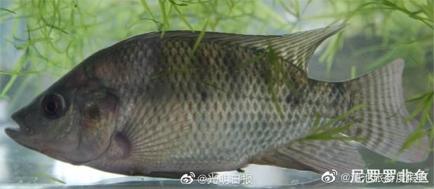 滇池旅游度假区