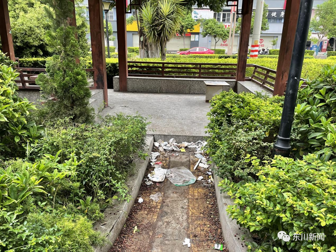 东川新闻
