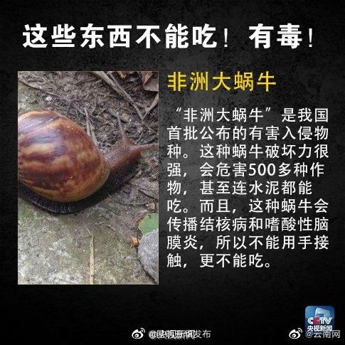 “昆明五华发布”微博