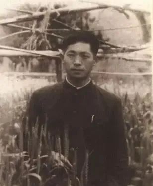 美丽云南微科普