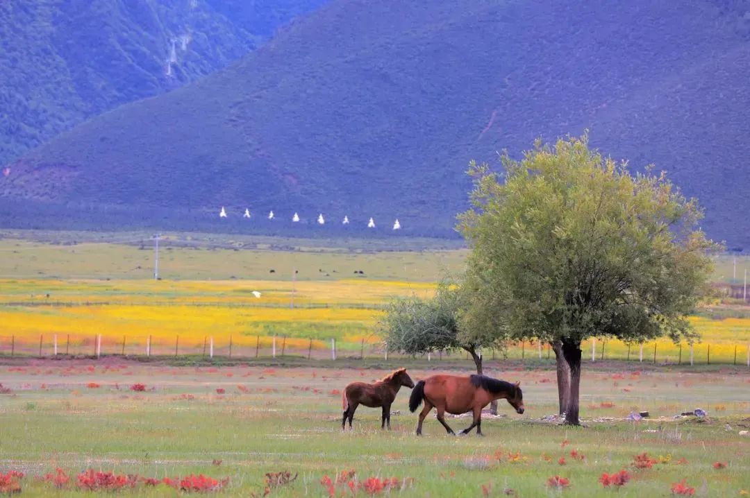 一部手机游云南
