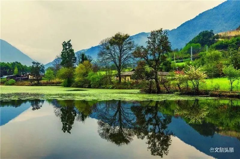 云南省文化和旅游厅