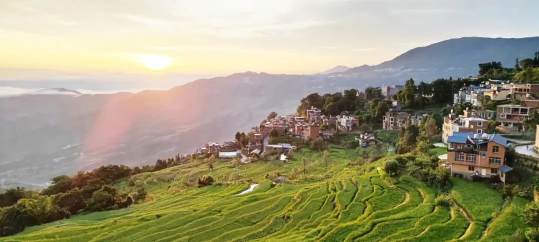 云南省人民政府网