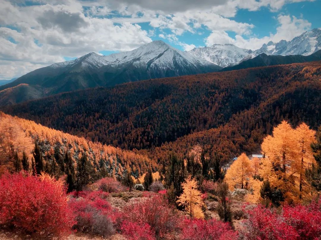 一部手机游云南