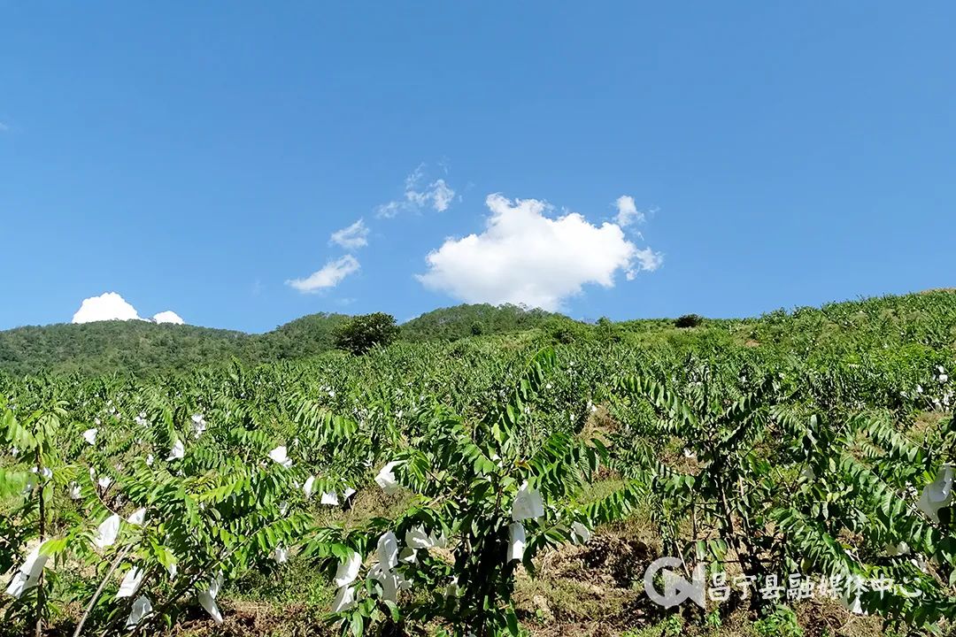 保山新闻网