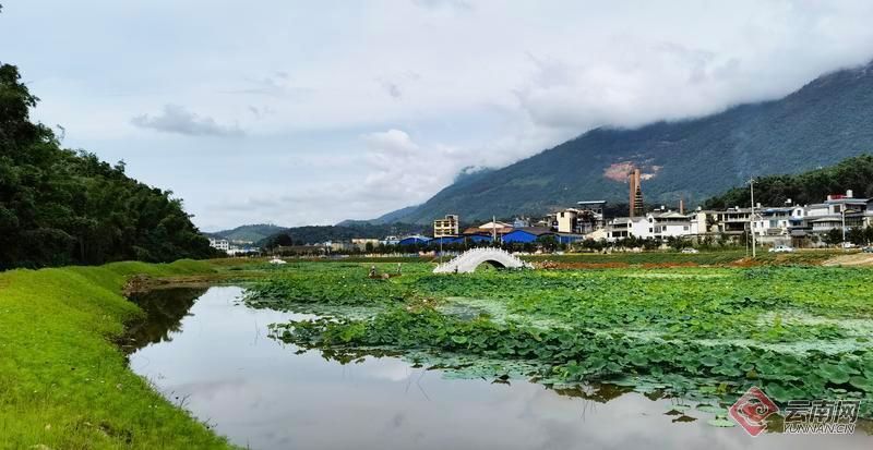 云南省文化和旅游厅