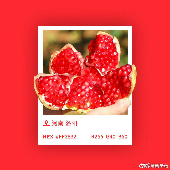 呈贡发布