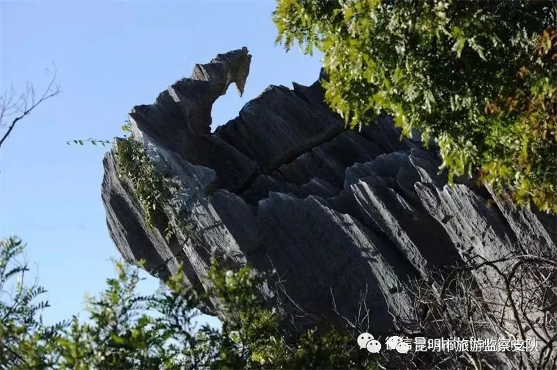 昆明市旅游监察支队