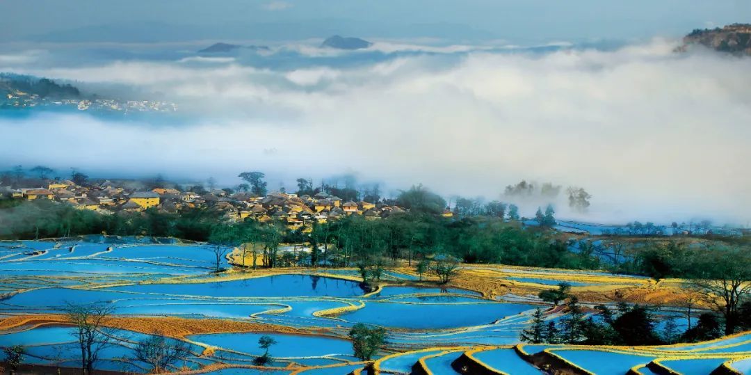 云南省文化和旅游厅