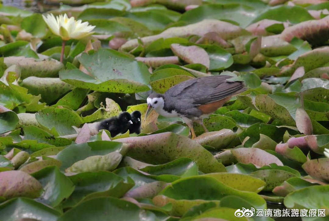 滇池旅游度假区