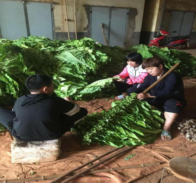 悦读嵩明