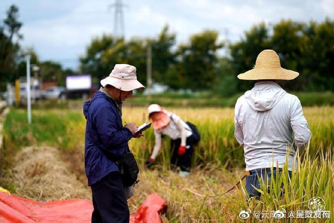 呈贡发布