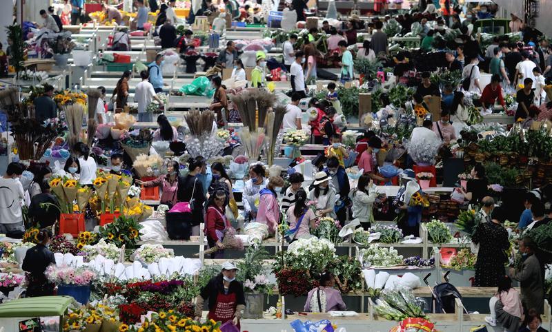 云南省文化和旅游厅