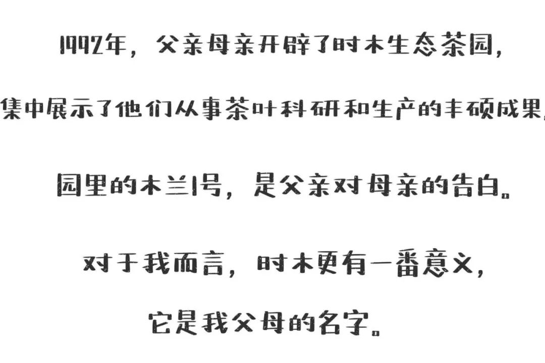 普洱日报