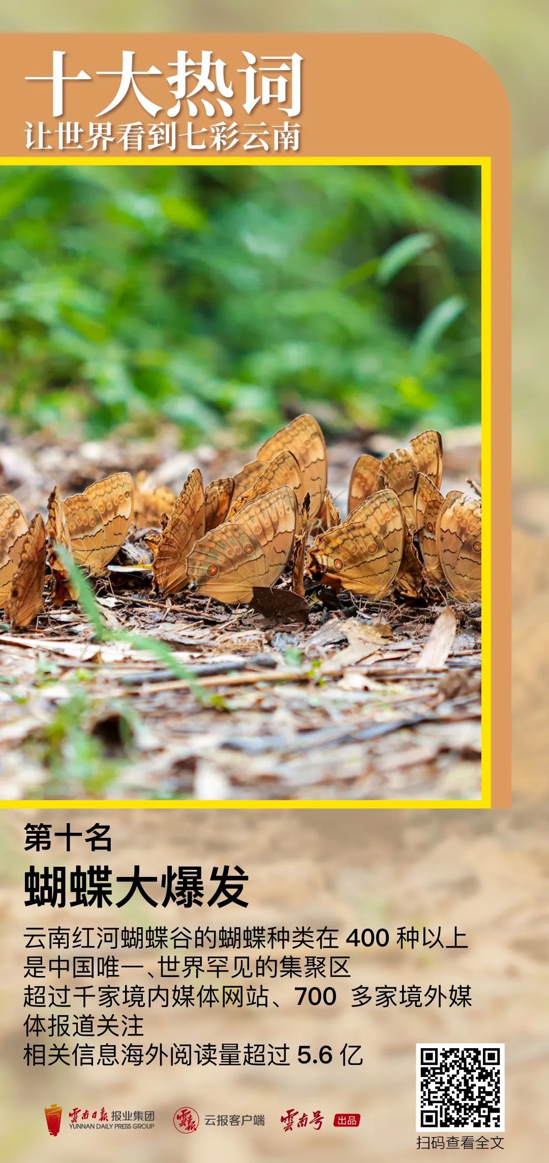 昆明公共文化云