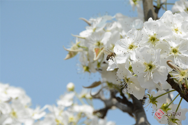 云南省文化和旅游厅