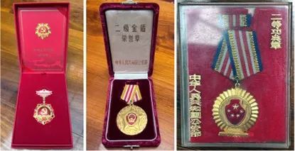 云南政法