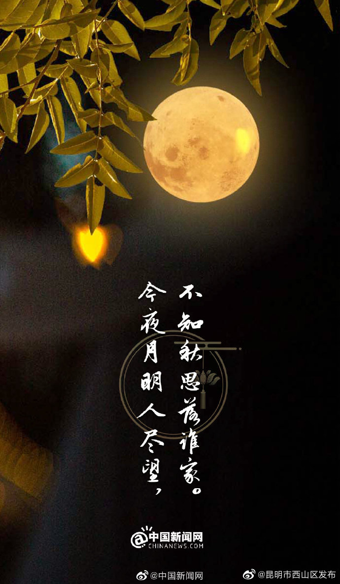 昆明市西山区发布