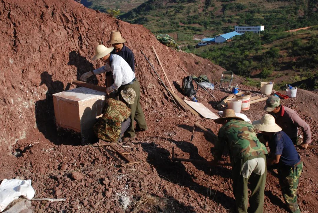 美丽云南微科普