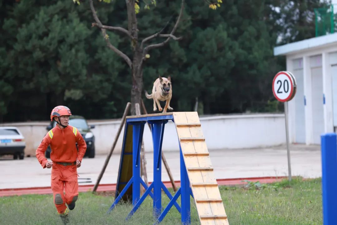 丽江日报